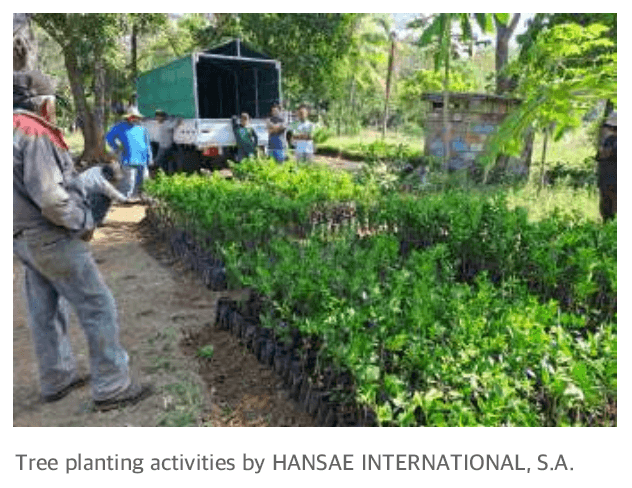 나무심기 활동 이미지